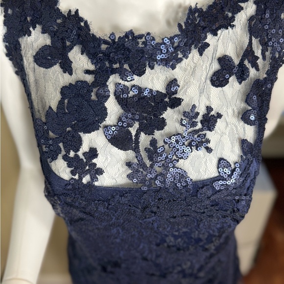 Tadashi Shoji Navy Lace Wedding Dress - Picture 3 of 6